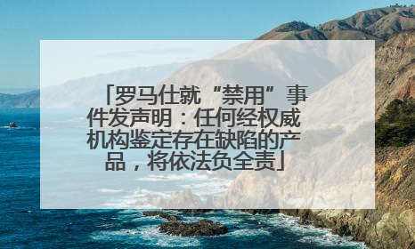 罗马仕就“禁用”事件发声明：任何经权威机构鉴定存在缺陷的产品，将依法负全责