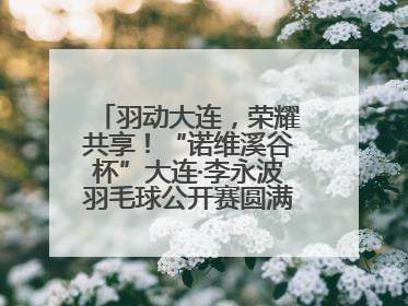 羽动大连，荣耀共享！“诺维溪谷杯”大连·李永波羽毛球公开赛圆满落幕！