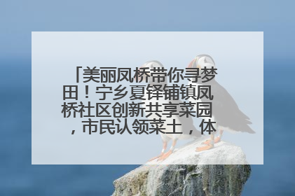 美丽凤桥带你寻梦田！宁乡夏铎铺镇凤桥社区创新共享菜园，市民认领菜土，体验耕种收获乐趣