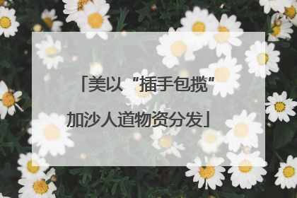 美以“插手包揽”加沙人道物资分发