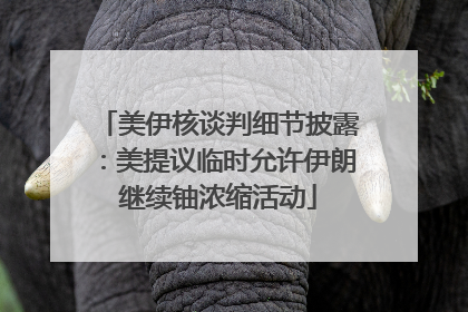 美伊核谈判细节披露：美提议临时允许伊朗继续铀浓缩活动