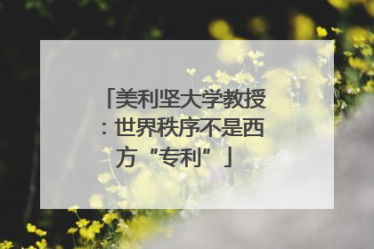 美利坚大学教授：世界秩序不是西方“专利”