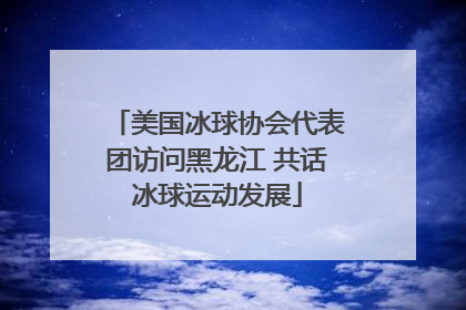 美国冰球协会代表团访问黑龙江 共话冰球运动发展