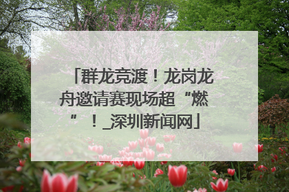 群龙竞渡！龙岗龙舟邀请赛现场超“燃”！_深圳新闻网