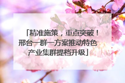 精准施策，重点突破！邢台一群一方案推动特色产业集群提档升级
