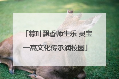粽叶飘香师生乐 灵宝一高文化传承润校园