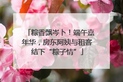 粽香飘岑卜！端午嘉年华，房东阿姨与租客结下“粽子情”