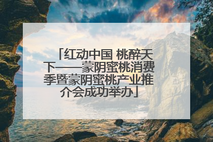 红动中国 桃醉天下——蒙阴蜜桃消费季暨蒙阴蜜桃产业推介会成功举办