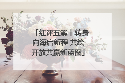 红评五溪丨转身向海启新程 共绘开放共赢新蓝图
