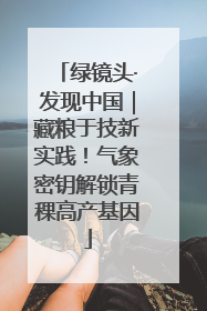 绿镜头·发现中国｜藏粮于技新实践！气象密钥解锁青稞高产基因