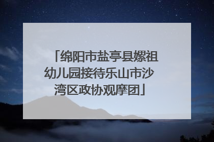绵阳市盐亭县嫘祖幼儿园接待乐山市沙湾区政协观摩团