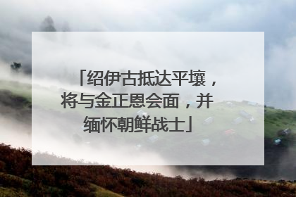 绍伊古抵达平壤，将与金正恩会面，并缅怀朝鲜战士