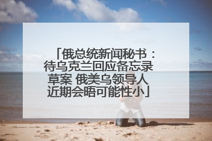 俄总统新闻秘书：待乌克兰回应备忘录草案 俄美乌领导人近期会晤可能性小