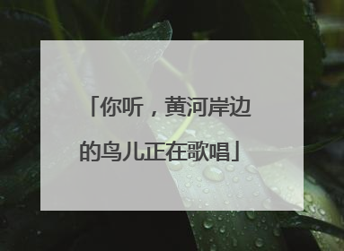 你听，黄河岸边的鸟儿正在歌唱