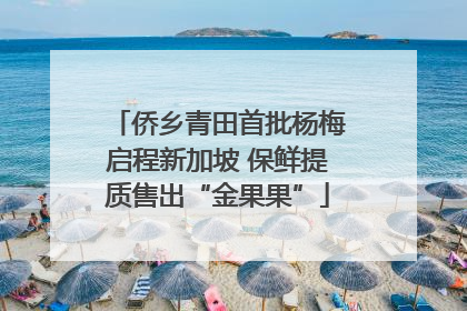 侨乡青田首批杨梅启程新加坡 保鲜提质售出“金果果”