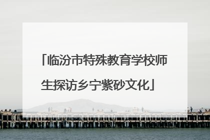 临汾市特殊教育学校师生探访乡宁紫砂文化