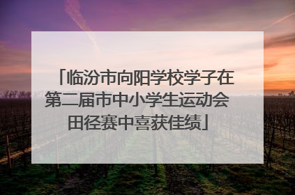 临汾市向阳学校学子在第二届市中小学生运动会田径赛中喜获佳绩