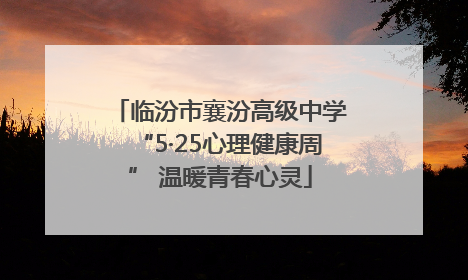 临汾市襄汾高级中学“5·25心理健康周” 温暖青春心灵