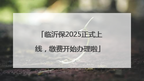 临沂保2025正式上线，缴费开始办理啦