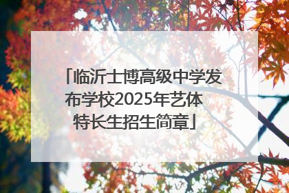 临沂士博高级中学发布学校2025年艺体特长生招生简章