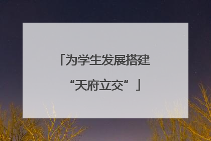 为学生发展搭建“天府立交”