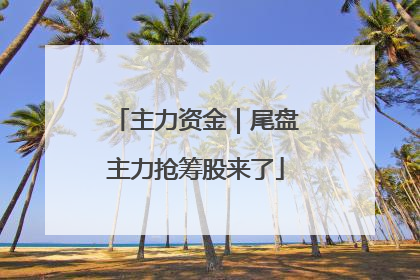 主力资金｜尾盘主力抢筹股来了