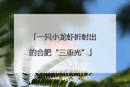 一只小龙虾折射出的合肥“三重光”