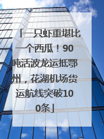 一只虾重堪比一个西瓜！90吨活波龙运抵鄂州，花湖机场货运航线突破100条