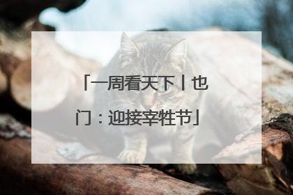 一周看天下丨也门：迎接宰牲节