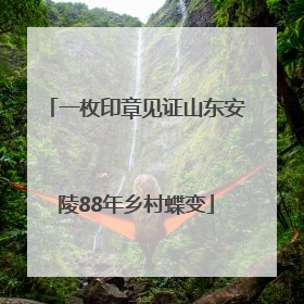 一枚印章见证山东安陵88年乡村蝶变
