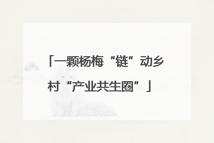 一颗杨梅“链”动乡村“产业共生圈”