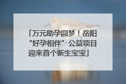 万元助孕圆梦！岳阳“好孕相伴”公益项目迎来首个新生宝宝
