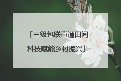 三级包联直通田间 科技赋能乡村振兴