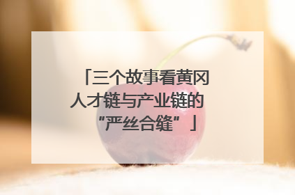 三个故事看黄冈人才链与产业链的“严丝合缝”