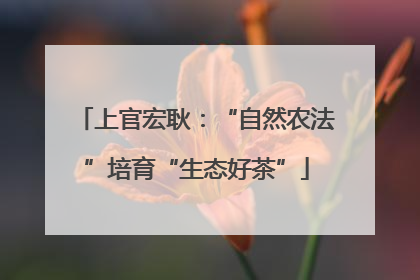 上官宏耿：“自然农法”培育“生态好茶”