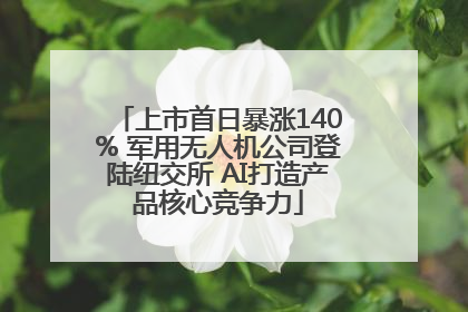 上市首日暴涨140% 军用无人机公司登陆纽交所 AI打造产品核心竞争力