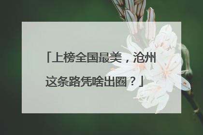 上榜全国最美，沧州这条路凭啥出圈？