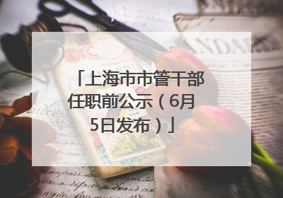 上海市市管干部任职前公示（6月5日发布）