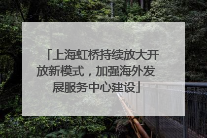 上海虹桥持续放大开放新模式，加强海外发展服务中心建设