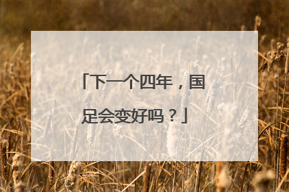 下一个四年，国足会变好吗？