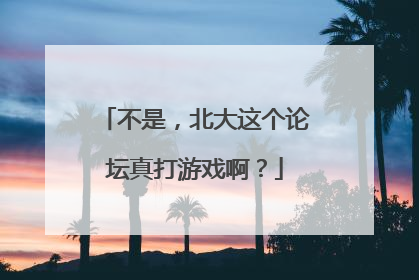 不是，北大这个论坛真打游戏啊？