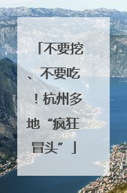 不要挖、不要吃！杭州多地“疯狂冒头”