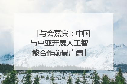 与会嘉宾：中国与中亚开展人工智能合作前景广阔
