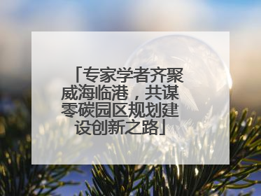 专家学者齐聚威海临港，共谋零碳园区规划建设创新之路