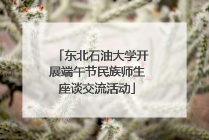 东北石油大学开展端午节民族师生座谈交流活动