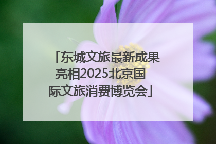 东城文旅最新成果亮相2025北京国际文旅消费博览会