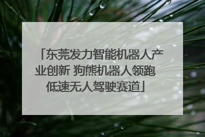东莞发力智能机器人产业创新 狗熊机器人领跑低速无人驾驶赛道