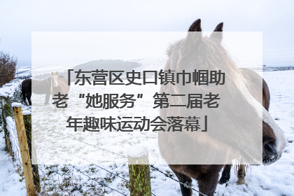 东营区史口镇巾帼助老“她服务”第二届老年趣味运动会落幕