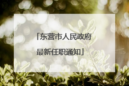 东营市人民政府最新任职通知