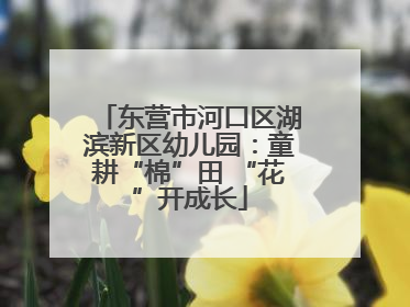 东营市河口区湖滨新区幼儿园：童耕“棉”田 “花”开成长